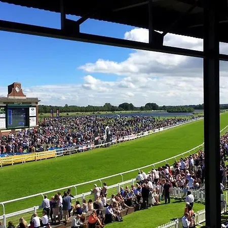 Apartamento The Tailor's Lounge - Flat & Parking *